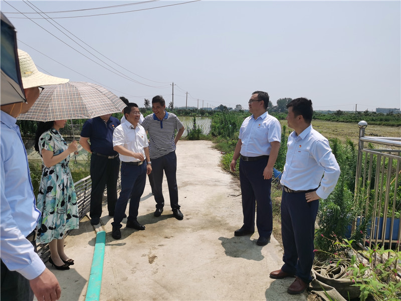 �۸����ʹ���